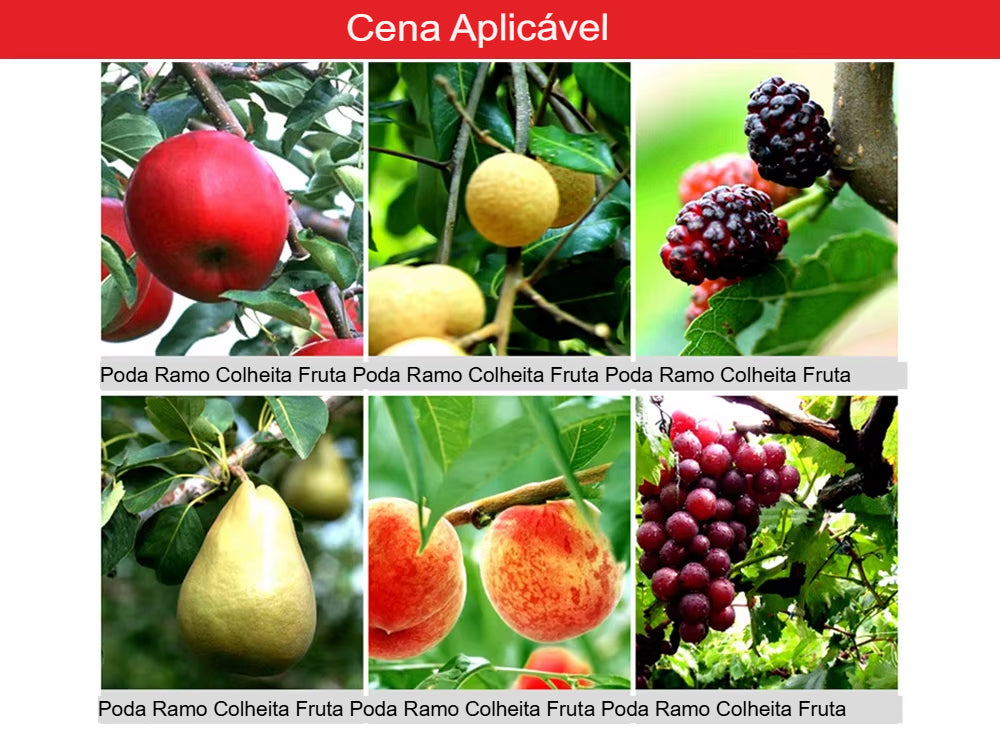 Tesoura de poda bico fino - Alicate de poda de bico fino