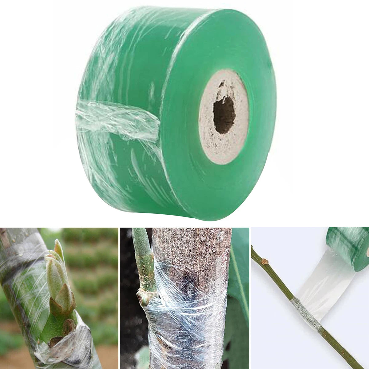 Alicate de Enxerto Pruner Ferramenta De Jardim, Cortador De Filial, Secateur Poda, Plant Shears Caixas, Fruit Tree Scissor, Chopper, Corte