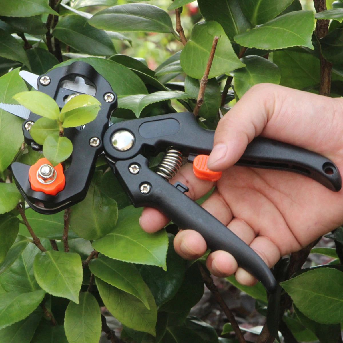 Alicate de Enxerto Pruner Ferramenta De Jardim, Cortador De Filial, Secateur Poda, Plant Shears Caixas, Fruit Tree Scissor, Chopper, Corte