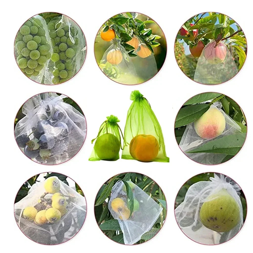 10-200 pçs sacos de proteção de frutas de plantas uvas crescer sacos jardim anti-pássaro rede saco de malha vegetal morango sacos ferramentas de jardim