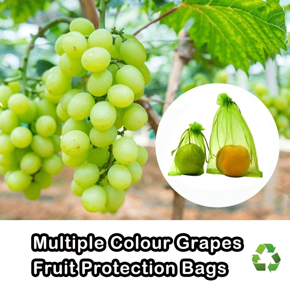 10-200 pçs sacos de proteção de frutas de plantas uvas crescer sacos jardim anti-pássaro rede saco de malha vegetal morango sacos ferramentas de jardim