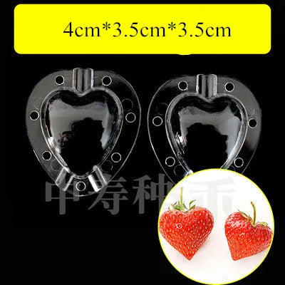 Moldes de Crescimento para Frutas e Vegetais – Forma Criativa para o Seu Jardim