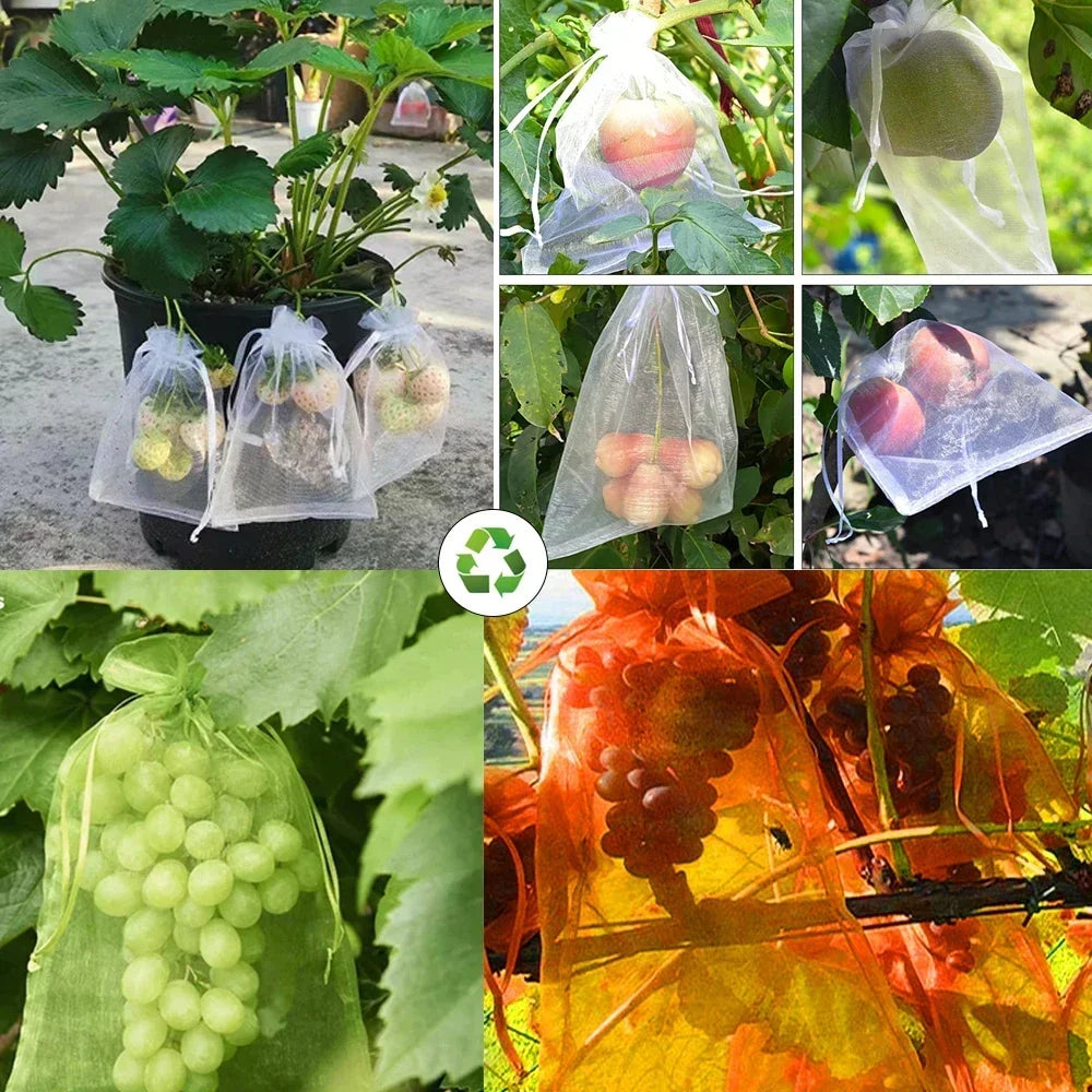 10-200 pçs sacos de proteção de frutas de plantas uvas crescer sacos jardim anti-pássaro rede saco de malha vegetal morango sacos ferramentas de jardim