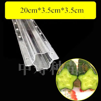 Moldes de Crescimento para Frutas e Vegetais – Forma Criativa para o Seu Jardim