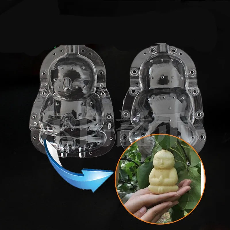 Moldes de Crescimento para Frutas e Vegetais – Forma Criativa para o Seu Jardim