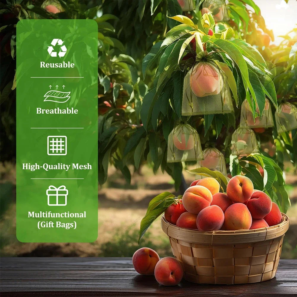 10-200 pçs sacos de proteção de frutas de plantas uvas crescer sacos jardim anti-pássaro rede saco de malha vegetal morango sacos ferramentas de jardim