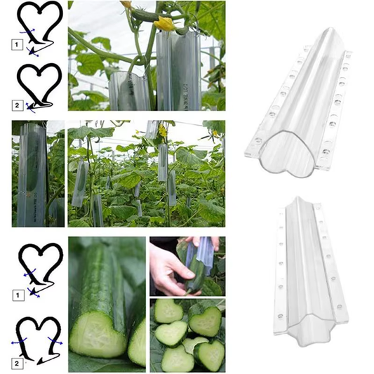 Moldes de Plastico Silicone para Cultivo de Vegetais – Inovação e Diversão no Seu Jardim